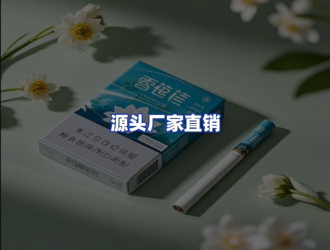 专业团队
